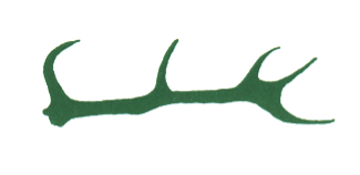 Hochwildring Süsing Logo